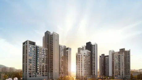 수지자이 에디시온