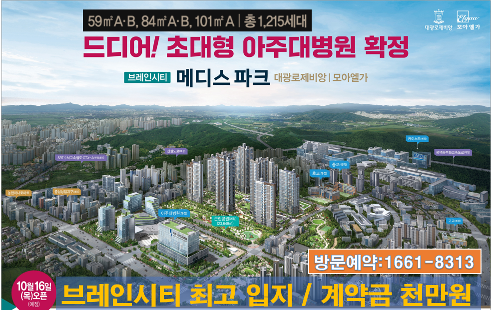 브레인시티 메디스파크